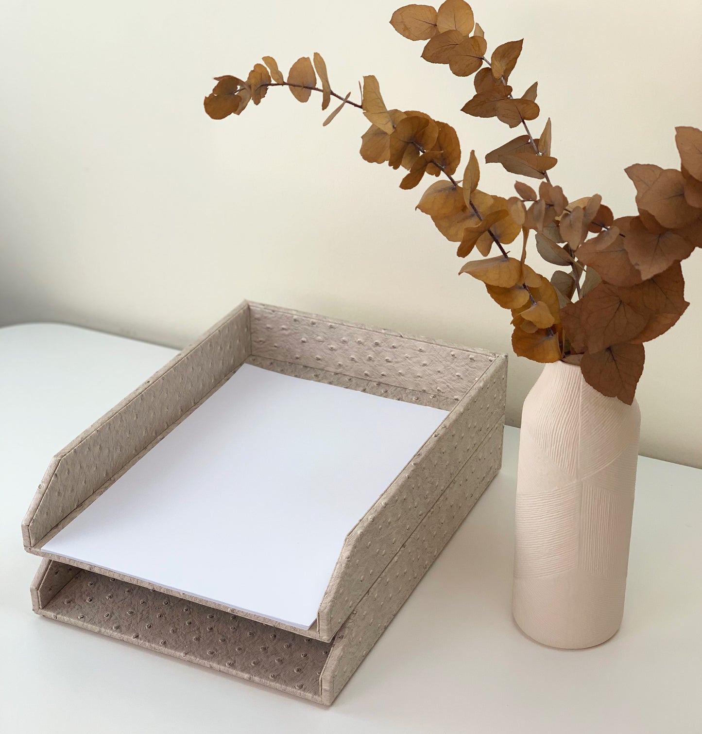 File Trays