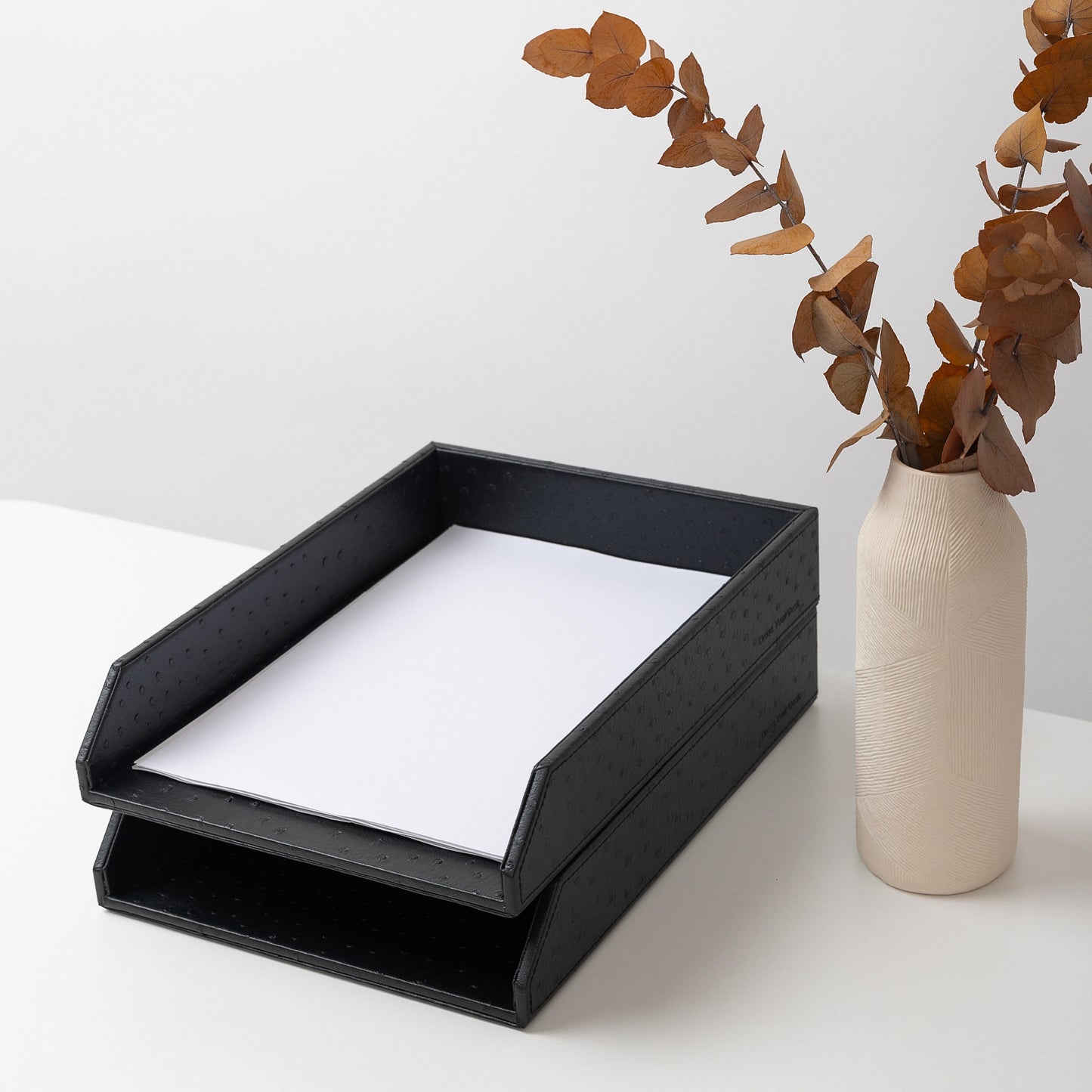 File Trays