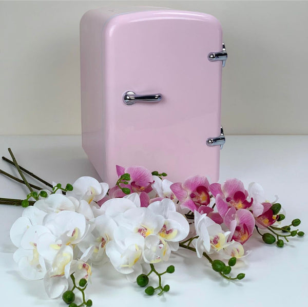 Mini Fridge (Pink)