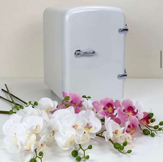 Mini Fridge (White)